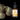 Lion's Mane Liquid Double Extract with Wild Huckleberries 2oz./60ML - VESPER MUSHROOMS