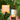 Athlete's Bundle - Turkey Tail and Cordyceps Liquid Double Extract - VESPER MUSHROOMSMushroom Extract BundlesVESPER MUSHROOMS