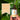 Lion's Mane - Focus - Liquid Double Extract with Wild Huckleberries (2oz./60ML) - VESPER MUSHROOMSSingle Mushroom ExtractsVESPER MUSHROOMS