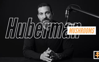 andrew huberman mushroom insights