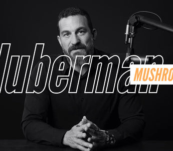 andrew huberman mushroom insights