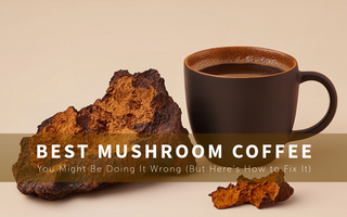 what-is-the-best-mushroom-coffee