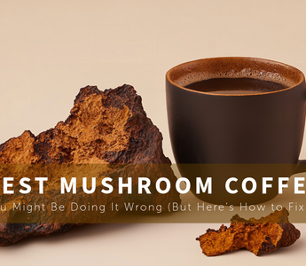 what-is-the-best-mushroom-coffee