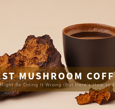what-is-the-best-mushroom-coffee