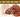 reishi and lion's mane study, reishi for sleep