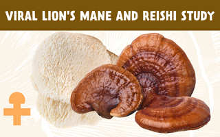reishi and lion's mane study, reishi for sleep