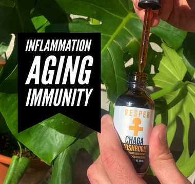 chaga liquid extract