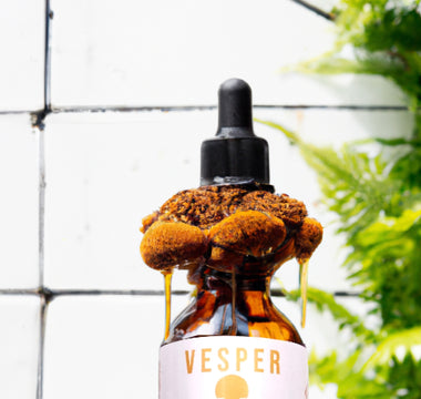 Exploring which functional mushrooms should i use - VESPER MUSHROOMS