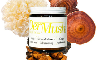 Dermush Tremella Benefits, Snow Mushrooms
