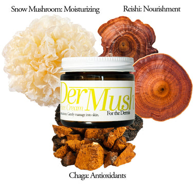 The Mega Powerful Mushrooms for Skincare: DerMush