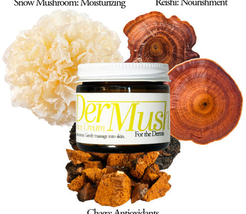 The Mega Powerful Mushrooms for Skincare: DerMush
