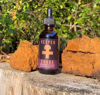 picture of chaga mushrooms sitting with a vesper mushrooms liquid chaga extract