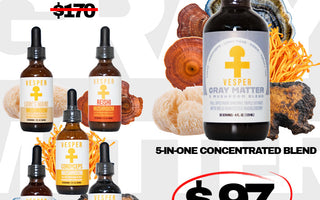 Gray Matter 5 mushroom blend for brain health and cognitive support — Vesper Mushrooms