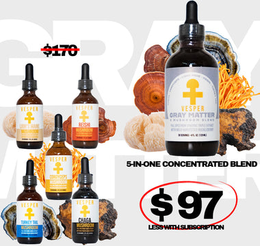 Gray Matter 5 mushroom blend for brain health and cognitive support — Vesper Mushrooms