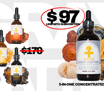Gray Matter 5 mushroom complex blend by Vesper Mushrooms — Lion's Mane, Reishi, Chaga, Turkey Tail, Cordyceps