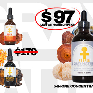 Gray Matter 5 mushroom complex blend by Vesper Mushrooms — Lion's Mane, Reishi, Chaga, Turkey Tail, Cordyceps