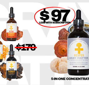Gray Matter 5 mushroom complex blend by Vesper Mushrooms — Lion's Mane, Reishi, Chaga, Turkey Tail, Cordyceps