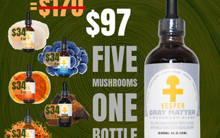 Vesper Gray Matter 5 mushroom complex for immune support — full-spectrum functional mushroom blend