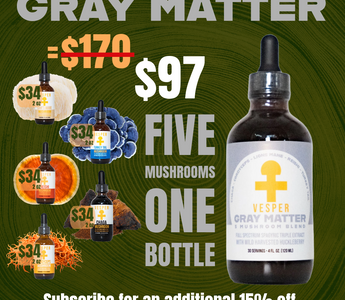 Vesper Gray Matter 5 mushroom complex for immune support — full-spectrum functional mushroom blend