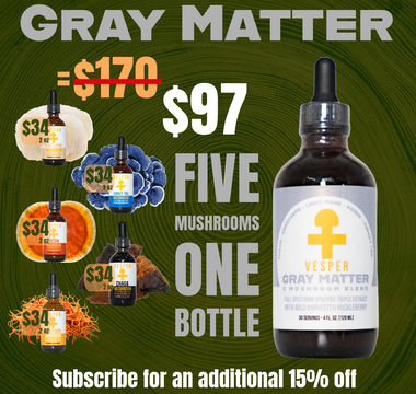 Vesper Gray Matter 5 mushroom complex for immune support — full-spectrum functional mushroom blend