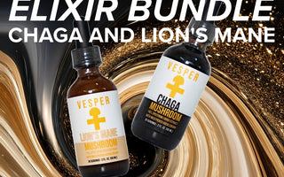 The Power of the Elixir Bundle: Lion’s Mane and Chaga Mushrooms