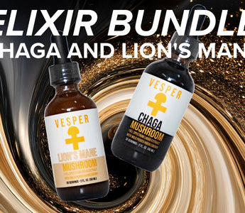 The Power of the Elixir Bundle: Lion’s Mane and Chaga Mushrooms