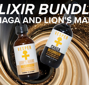 The Power of the Elixir Bundle: Lion’s Mane and Chaga Mushrooms