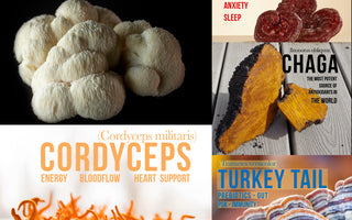 Functional mushrooms, lions mane, reishi, chaga, turkey tail, cordyceps