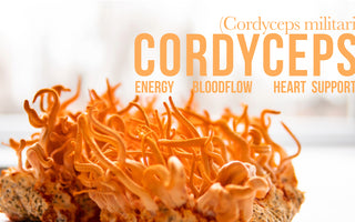 benefits of cordyceps