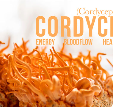 benefits of cordyceps