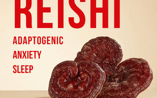 Exploring reishi mushroom extract - VESPER MUSHROOMS