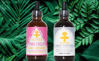 Vesper Mushrooms tincture bottles — Gray Matter 5 mushroom blend and Pink Freud Reishi Lion's Mane blend