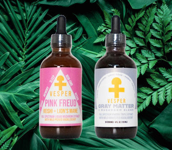 Vesper Mushrooms tincture bottles — Gray Matter 5 mushroom blend and Pink Freud Reishi Lion's Mane blend