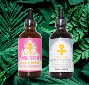 Vesper Mushrooms tincture bottles — Gray Matter 5 mushroom blend and Pink Freud Reishi Lion's Mane blend