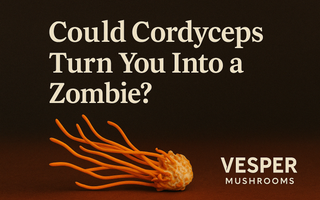 Could Cordyceps Actually Turn You Into a Zombie?