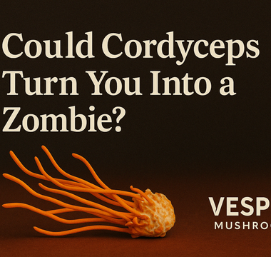 Could Cordyceps Actually Turn You Into a Zombie?