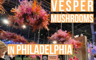 Discovering the Wonders of Functional Mushrooms at the Philadelphia Flower and Garden Show - VESPER MUSHROOMS