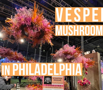 Discovering the Wonders of Functional Mushrooms at the Philadelphia Flower and Garden Show - VESPER MUSHROOMS