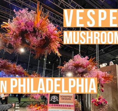 Discovering the Wonders of Functional Mushrooms at the Philadelphia Flower and Garden Show - VESPER MUSHROOMS