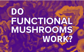 Do Functional Mushrooms Work? - VESPER MUSHROOMS