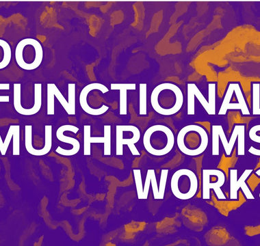 Do Functional Mushrooms Work? - VESPER MUSHROOMS