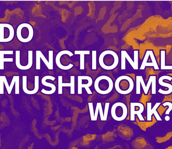 Do Functional Mushrooms Work? - VESPER MUSHROOMS