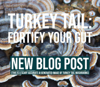 Exploring More Gut Health Benefits of Turkey Tail Mushrooms and More - VESPER MUSHROOMS