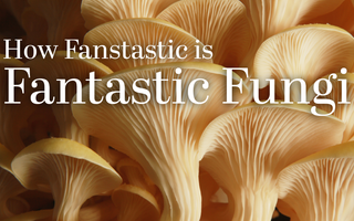 Fantastic Fungi Review