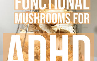 Functional Mushrooms for ADHD: Natural Support for Focus and Attention - VESPER MUSHROOMS