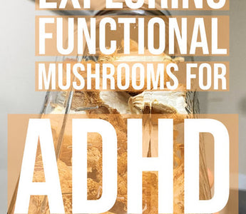 Functional Mushrooms for ADHD: Natural Support for Focus and Attention - VESPER MUSHROOMS