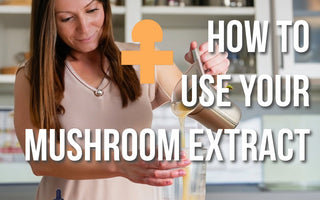 How to Take Functional Mushroom Extract - VESPER MUSHROOMS
