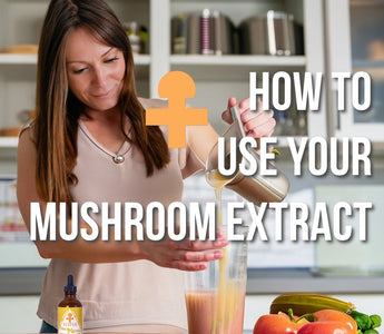 How to Take Functional Mushroom Extract - VESPER MUSHROOMS