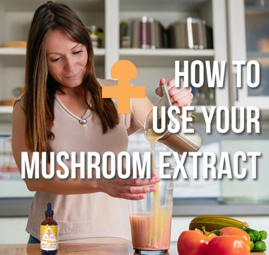 How to Take Functional Mushroom Extract - VESPER MUSHROOMS