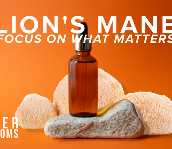 Why Lion’s Mane Mushroom Tincture Is the Brain Boost You Didn’t Know You Needed